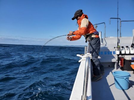 ブルーピア 釣果