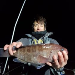 ブルーピア 釣果