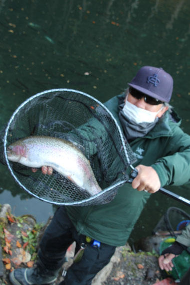 小菅トラウトガーデン 釣果