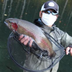 小菅トラウトガーデン 釣果