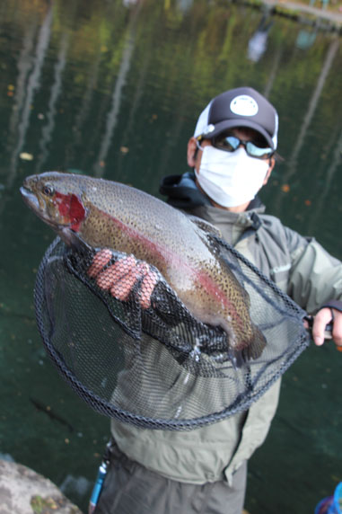 小菅トラウトガーデン 釣果