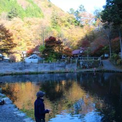 小菅トラウトガーデン 釣果