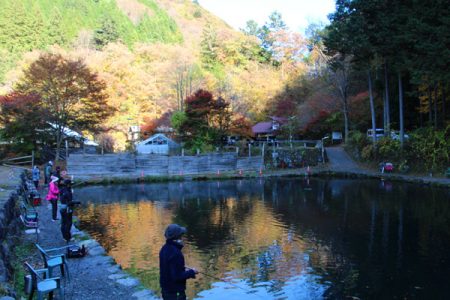 小菅トラウトガーデン 釣果