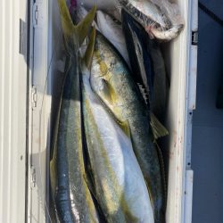 海龍丸（福岡） 釣果