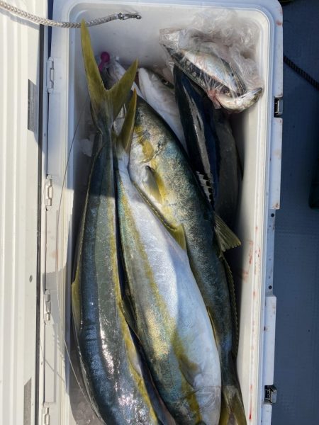 海龍丸（福岡） 釣果