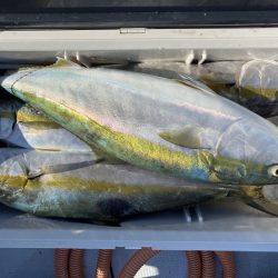 海龍丸（福岡） 釣果