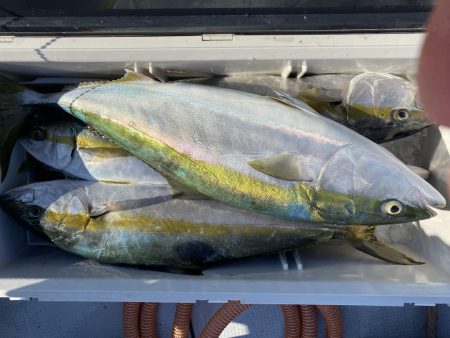 海龍丸（福岡） 釣果