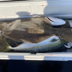 海龍丸（福岡） 釣果