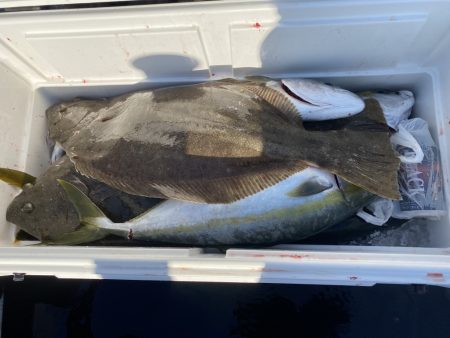 海龍丸（福岡） 釣果