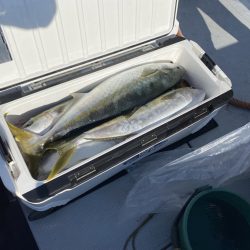 海龍丸（福岡） 釣果