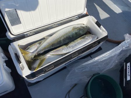 海龍丸（福岡） 釣果