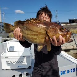 ブルーピア 釣果