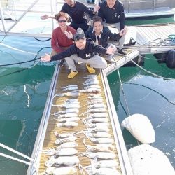 フィッシングボートACE(エース) 釣果