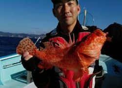 長栄丸(静岡) 釣果