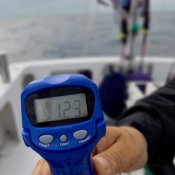 フィッシングボートACE(エース) 釣果