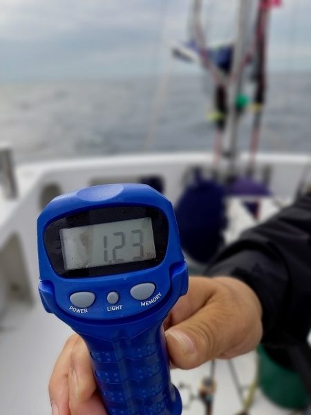 フィッシングボートACE(エース) 釣果