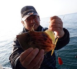 遊漁船 幸友丸 釣果