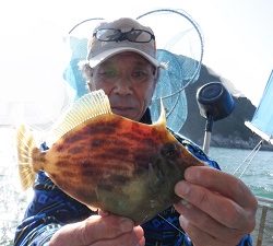 遊漁船 幸友丸 釣果