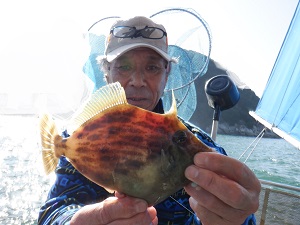 遊漁船 幸友丸 釣果