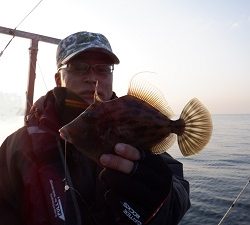 遊漁船 幸友丸 釣果