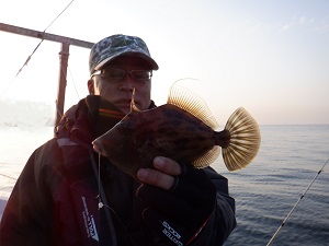 遊漁船 幸友丸 釣果