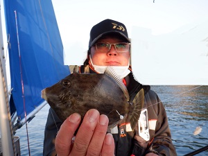 遊漁船 幸友丸 釣果