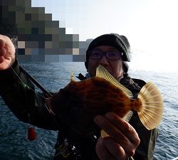 遊漁船 幸友丸 釣果