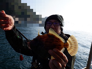 遊漁船 幸友丸 釣果