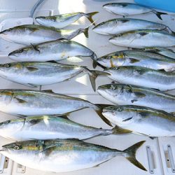 松本釣船２ 釣果