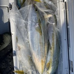 海龍丸（福岡） 釣果