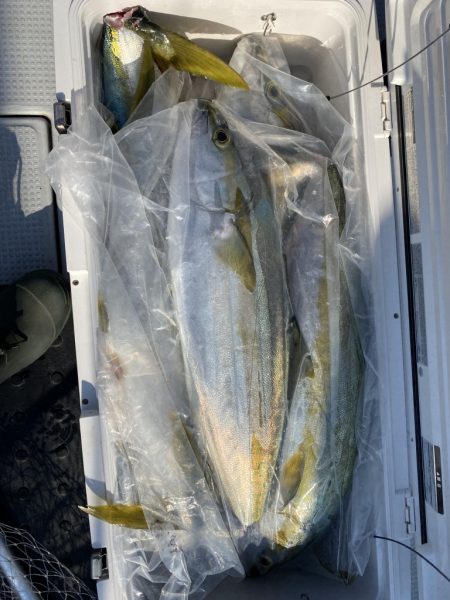 海龍丸（福岡） 釣果