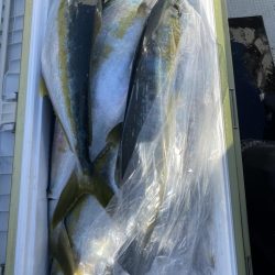 海龍丸（福岡） 釣果