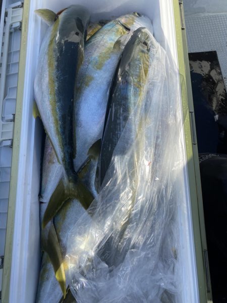 海龍丸（福岡） 釣果