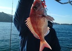 愛裕南丸 釣果