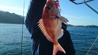 愛裕南丸 釣果