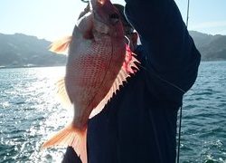 愛裕南丸 釣果