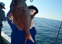 愛裕南丸 釣果