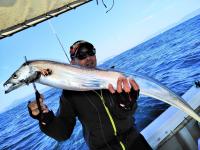 おおせき丸 釣果