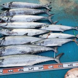 アジアマリンサービス 釣果