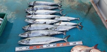 アジアマリンサービス 釣果