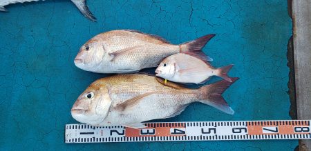 アジアマリンサービス 釣果