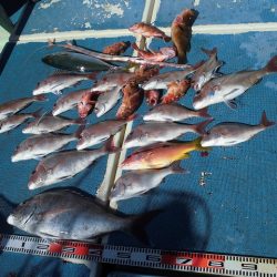 十八宝洋丸 釣果