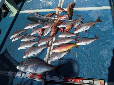 十八宝洋丸 釣果