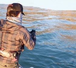 遊漁船 幸友丸 釣果