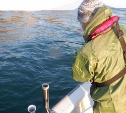 遊漁船 幸友丸 釣果