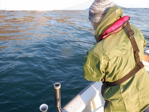 遊漁船 幸友丸 釣果