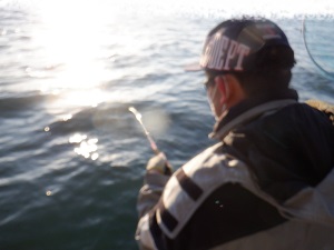 遊漁船 幸友丸 釣果