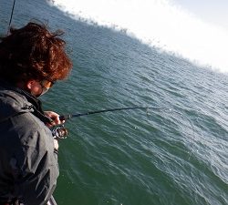 遊漁船 幸友丸 釣果