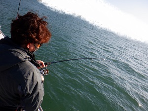 遊漁船 幸友丸 釣果