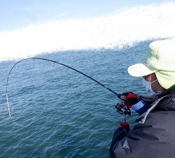 遊漁船 幸友丸 釣果